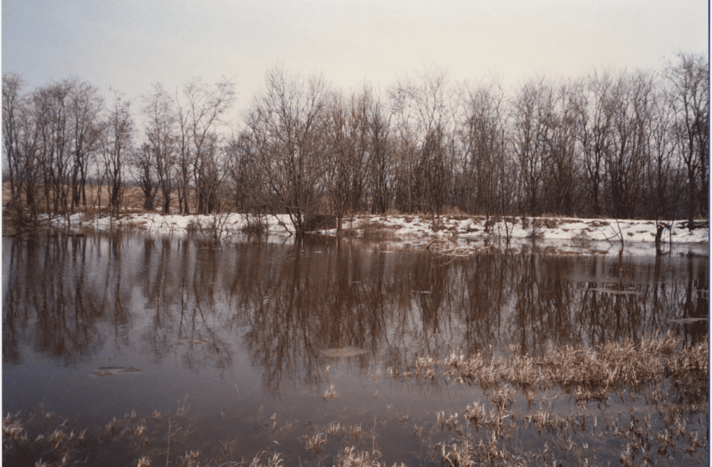 A still body of water reflects leafless trees beneath a cloudy sky at Doudlah Farms. Snow patches line the bank, and dried grass emerges at the water's edge. The calm, wintry scene mirrors the quiet transition from conventional to organic farming.